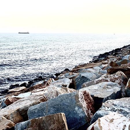 El Molino Lägenhet Torrevieja Exteriör bild