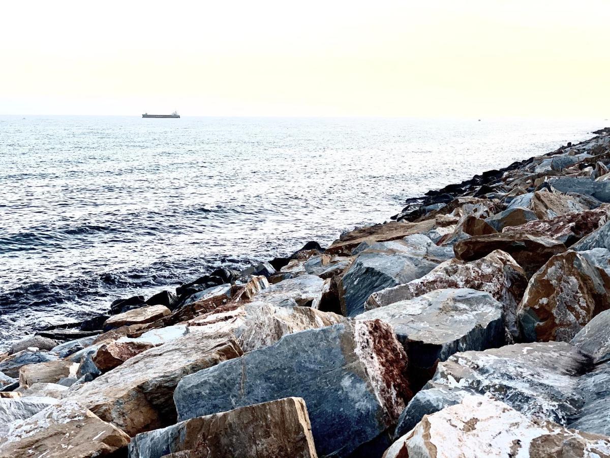 El Molino Lägenhet Torrevieja Exteriör bild